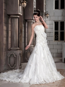 Gorgeous A-line / Princess Strapless Court Train Tulle and Satin Appliques Wedding Dress
