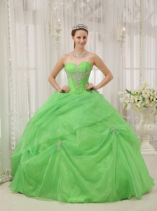 Brand New Spring Green Quinceanera Dress Sweetheart Organza Appliques Ball Gown