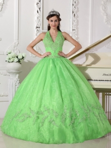 Lovely Spring Green Quinceanera Dress Halter Taffeta and Organza Appliques Ball Gown