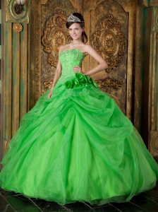 Pretty Spring Green Quinceanera Dress Strapless Organza Beading Ball Gown