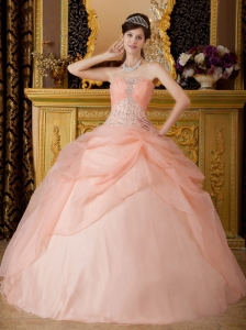 Romantic Baby Pink Quinceanera Dress Strapless Organza Beading Ball Gown