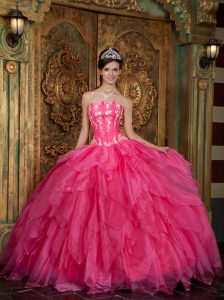 Gorgeous Hot Pink Quinceanera Dress Strapless  Appliques Organza Ball Gown