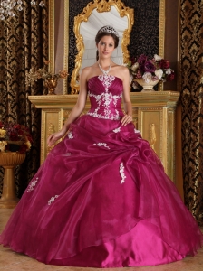 Brand New Fuchsia Quinceanera Dress Strapless Organza and Satin Appliques Ball Gown