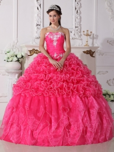 Modest Hot Pink Quinceanera Dress Strapless Organza Embroidery with Beading  Ball Gown