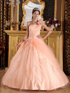 Pretty Light Pink Sweet 16 Dress One Shoulder Appliques Tulle Ball Gown