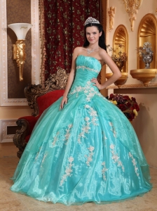 Beautiful  Quinceanera Dress Strapless Organza Appliques Ball Gown