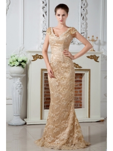 Champagne Column V-neck  Lace and Embroidery Mother Of The Bride Dress Brush Train Satin