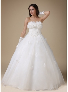 Simple A-line Strapless Wedding Dress Taffeta and Organza Appliques Floor-length