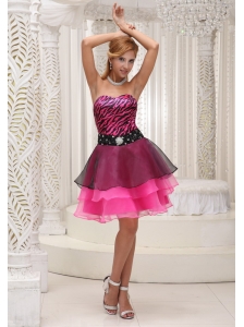Hot Pink and Black Prom / Cocktail Dress For 2013 Zebra and Organza Beaded Decorate Waist Mini-length