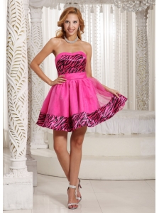 Stylish Zebra A-line Mini-length 2013 Prom Dress With Hot Pink Organza