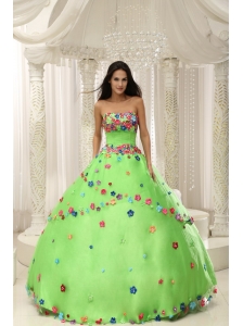 Spring Green Ball Gown 2013 Quninceaera Gown For Custom Made Appliques Decorate Bodice