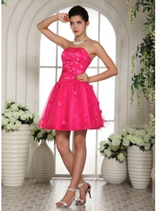 2013 Hot Pink Prom Dress With Appliques and Beading Mini-length For Custom Made