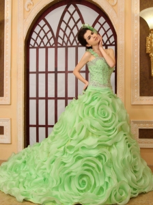Beading Rolling Flowers One Shoulder A-Line Organza Chapel Train Spring Green Quinceanera Dress