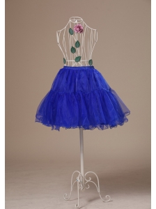 Custom Made 2013 Peacock Blue Petticoat