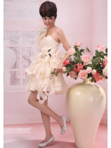 One Shoulder Handle-Made Flowers Organza 2013 Wedding Dress Champagne A-Line / Princess