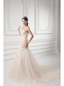 Champagne A-line Sweetheart Court Train Wedding Dress with Appliques