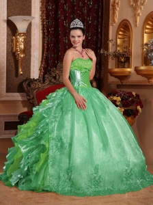 Ball Gown Strapless Green Ruffles Embroidery 15 Quinceanera Dresses