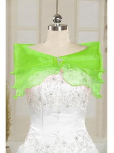 Beautiful Beading Organza Shawls in Spring Green