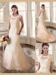 Beautiful Scoop Champagne Wedding Dresses with Appliques 2016
