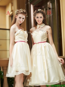 Best Selling Champagne Organza Dama Dress with Appliques and Sashes