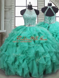 Excellent Organza Sleeveless Quinceanera Dresses Brush Train and Beading and Ruffles