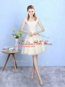 Colorful Empire Quinceanera Dama Dress Champagne Square Tulle Sleeveless Knee Length Lace Up