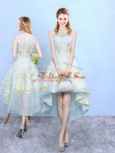 Exquisite Scoop Sleeveless Zipper Dama Dress Apple Green Tulle