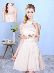 Champagne Sleeveless Lace Knee Length Bridesmaids Dress