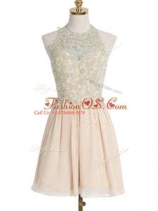 Knee Length Champagne Dama Dress Chiffon Sleeveless Appliques