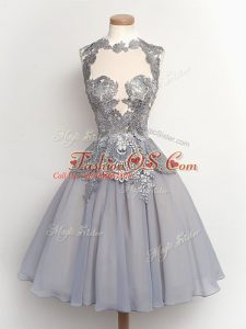 Grey Sleeveless Lace Knee Length Quinceanera Dama Dress