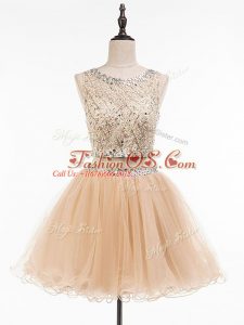 Tulle Scoop Sleeveless Side Zipper Beading Prom Dresses in Champagne