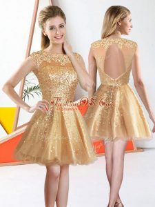 Cheap Champagne Sleeveless Knee Length Beading and Lace Backless Quinceanera Dama Dress