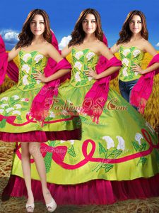 Exquisite Sleeveless Embroidery Lace Up Ball Gown Prom Dress