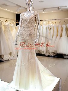 Champagne Cap Sleeves Tulle Brush Train Backless Oscars Dresses for Military Ball and Sweet 16