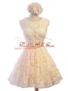 Exceptional Champagne Sleeveless Lace Lace Up Wedding Party Dress for Prom and Party and Wedding Party