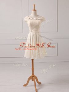 Cap Sleeves Chiffon Mini Length Lace Up Wedding Guest Dresses in Champagne with Lace and Appliques