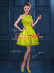 Latest Yellow Green Tulle Zipper Dama Dress Sleeveless Knee Length Lace and Ruffled Layers