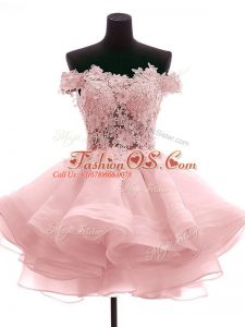 Discount Sleeveless Zipper Mini Length Lace and Appliques and Ruffles Party Dress for Toddlers