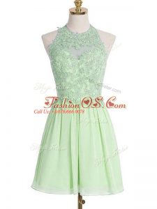 Dynamic Sleeveless Appliques Lace Up Bridesmaid Dresses