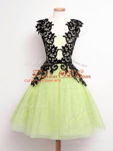 Sweet Yellow Green A-line Straps Sleeveless Tulle Knee Length Lace Up Lace Damas Dress