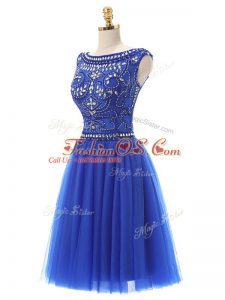Custom Design Royal Blue Sleeveless Tulle Zipper Prom Evening Gown for Prom and Party and Sweet 16