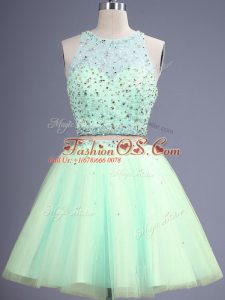 Glorious Two Pieces Quinceanera Dama Dress Apple Green Scoop Tulle Sleeveless Knee Length Lace Up