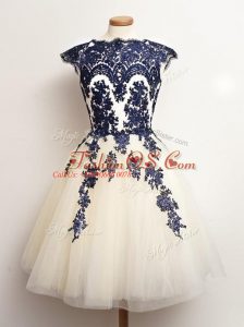 Pretty Blue And White A-line Tulle Scalloped Sleeveless Appliques Mini Length Lace Up Damas Dress