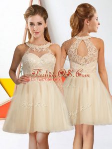 Champagne Sleeveless Lace Knee Length Bridesmaid Gown