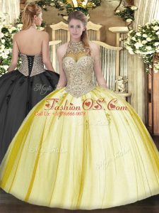 Floor Length Ball Gowns Sleeveless Yellow Quinceanera Gowns Lace Up