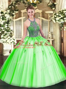 Ball Gowns Quince Ball Gowns Halter Top Tulle Sleeveless Floor Length Lace Up