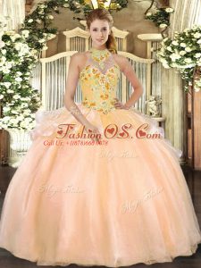 Cheap Sleeveless Organza Floor Length Lace Up Quinceanera Gown in Peach with Embroidery