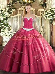 Sleeveless Appliques Lace Up Sweet 16 Dresses