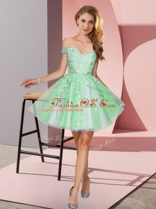Apple Green A-line Tulle Off The Shoulder Sleeveless Appliques Mini Length Zipper Dama Dress for Quinceanera