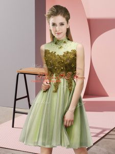 Nice Appliques Wedding Guest Dresses Yellow Green Lace Up Sleeveless Knee Length